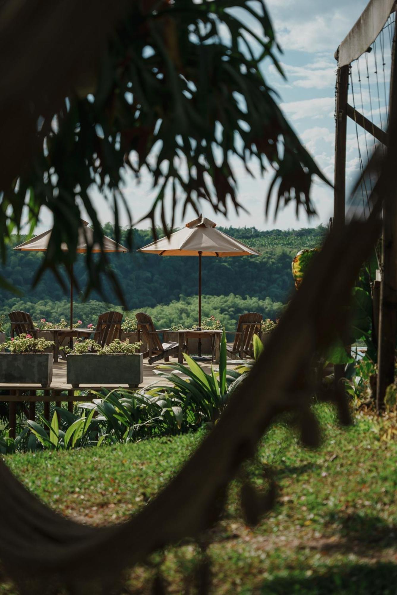 ホテル Glamping Entre Rios Calarcá エクステリア 写真