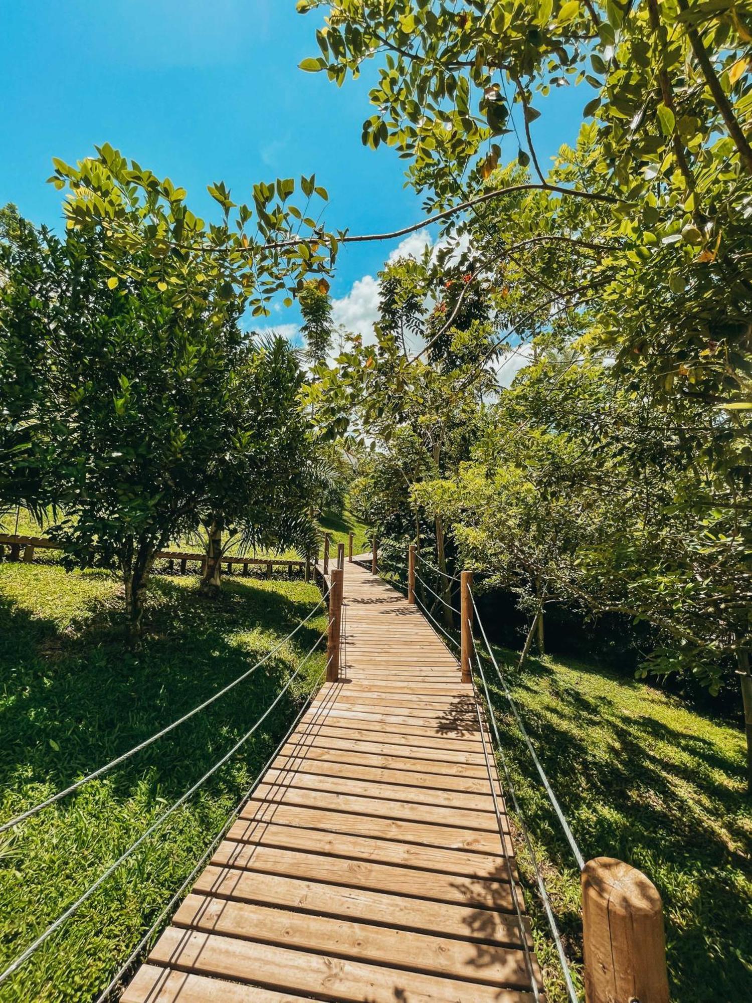 ホテル Glamping Entre Rios Calarcá エクステリア 写真