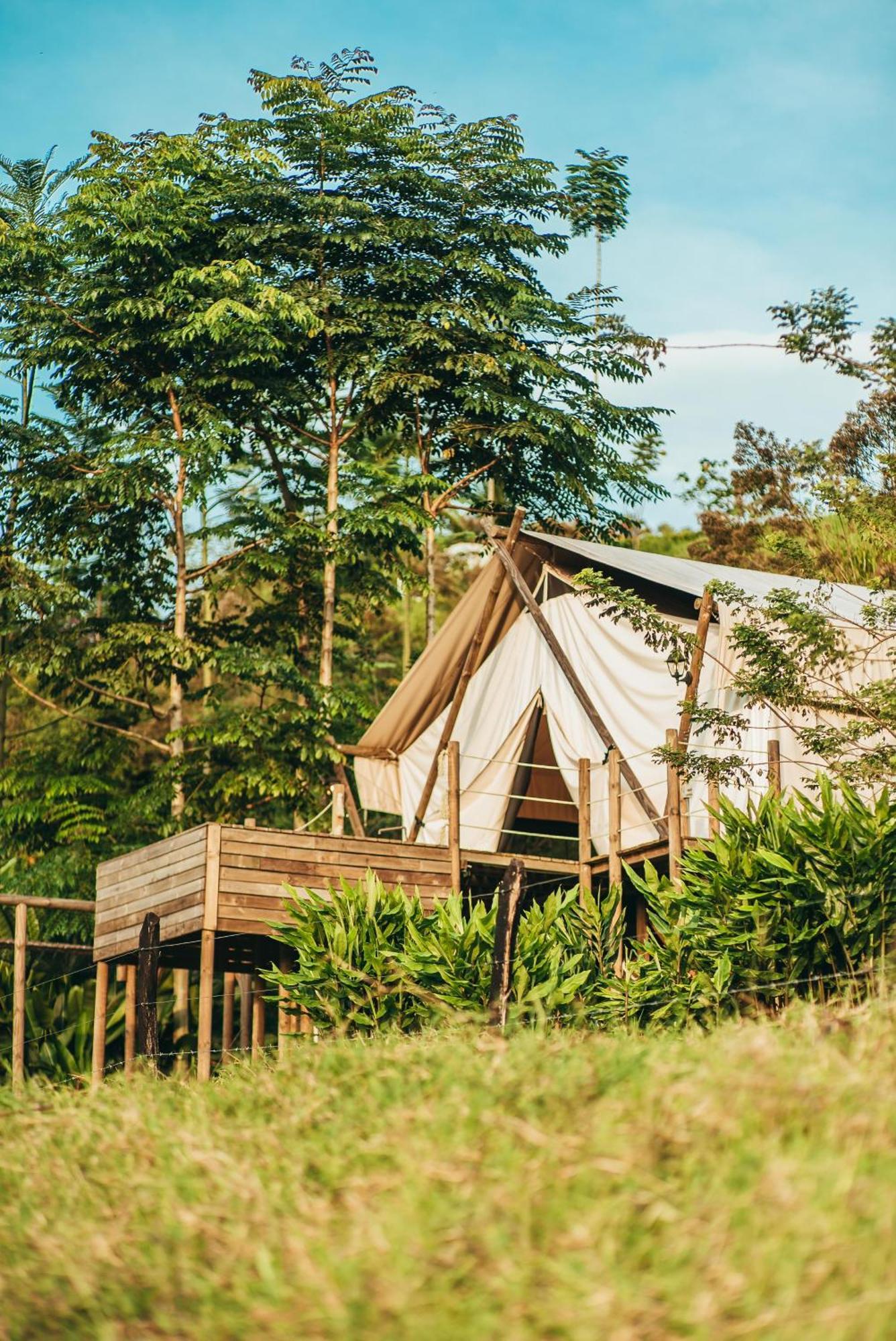 ホテル Glamping Entre Rios Calarcá エクステリア 写真